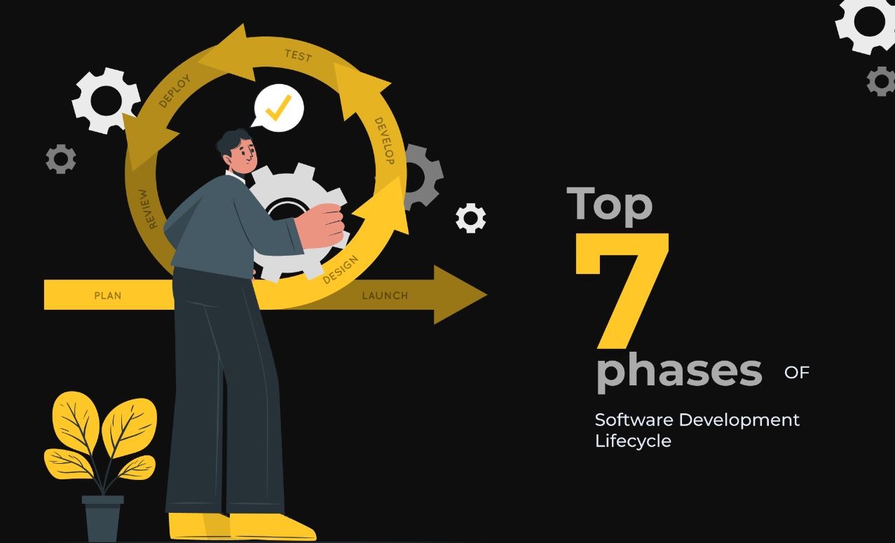 top 7 phase of software
